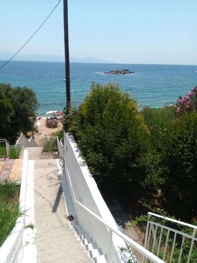 Basileia'S Home PalaiónTsiflíkion Εξωτερικό φωτογραφία