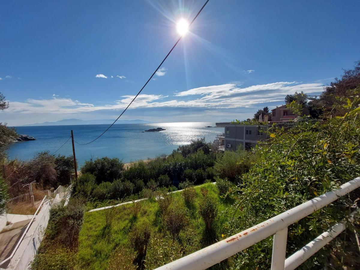 Basileia'S Home PalaiónTsiflíkion Εξωτερικό φωτογραφία