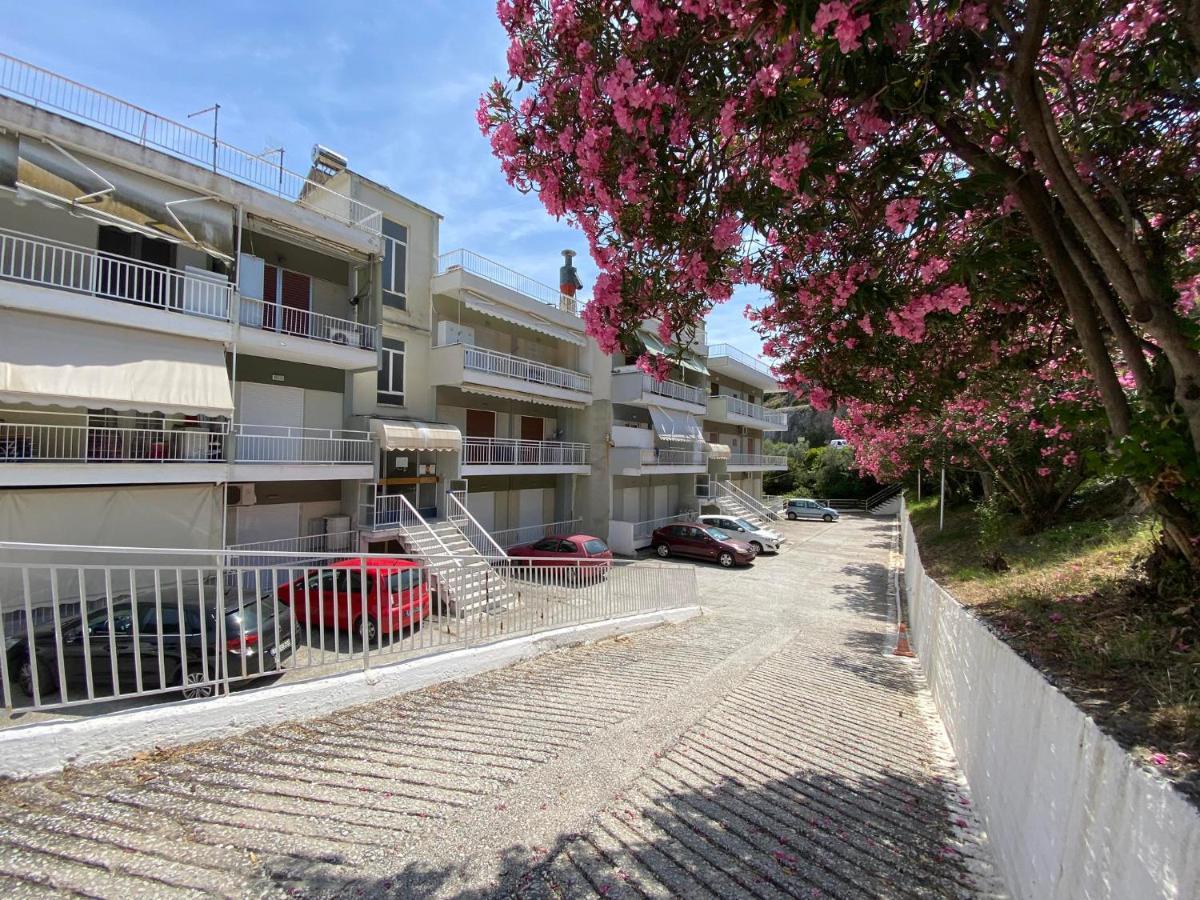 Basileia'S Home PalaiónTsiflíkion Εξωτερικό φωτογραφία